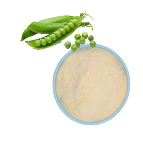Balance and Brighten Day Cream