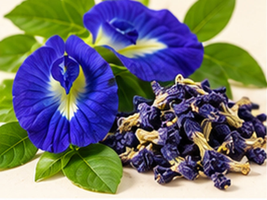 butterfly pea flower powder