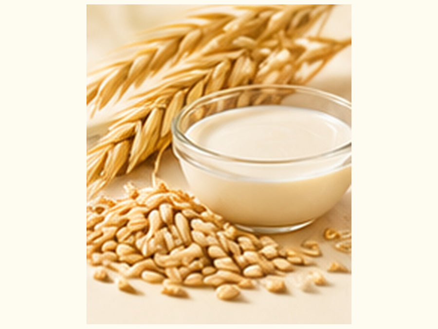 oat kernel oil